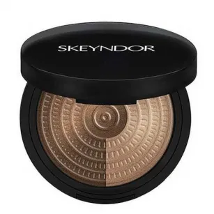 Highlight Powder Duo  Highlight Powder Duo