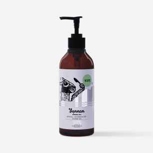 Shower gel with tea fragrance