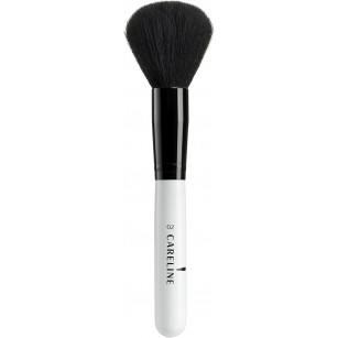 Powder brush