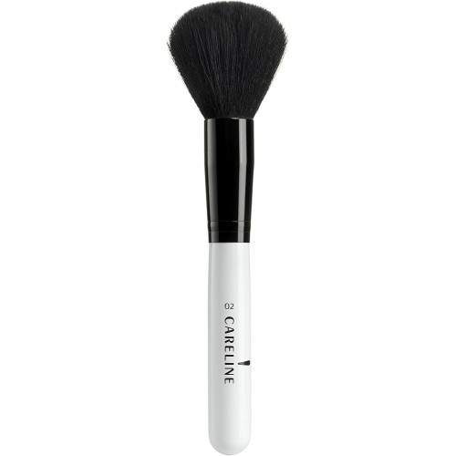 Powder brush