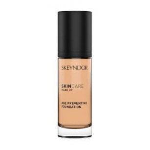 Βιταμίνη C hydra comfort foundation spf20 #02